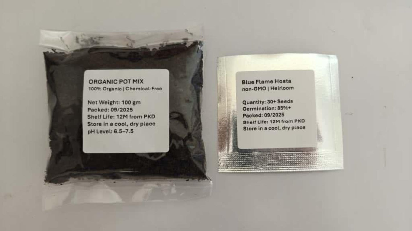 Two packages of black powder with labels on a white background