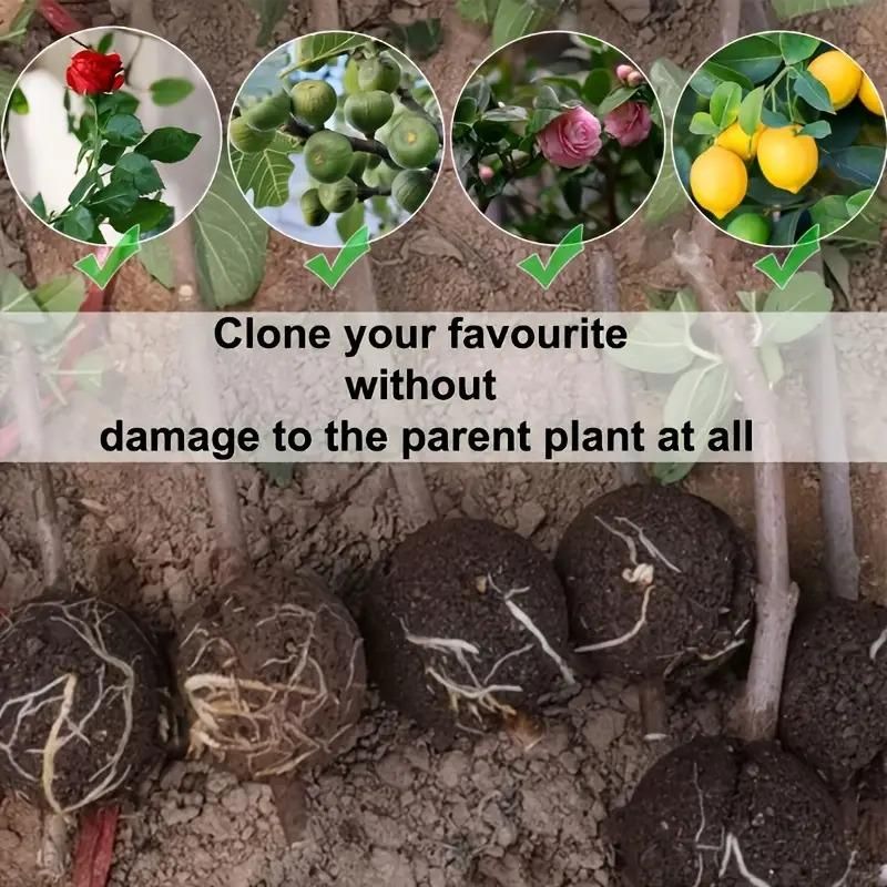 Plants being cloned with text overlay on a natural background