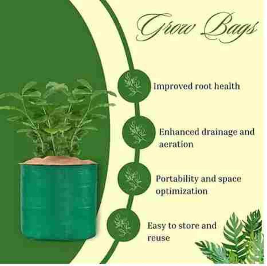 Green grow bag with text highlighting benefits on a green and beige background