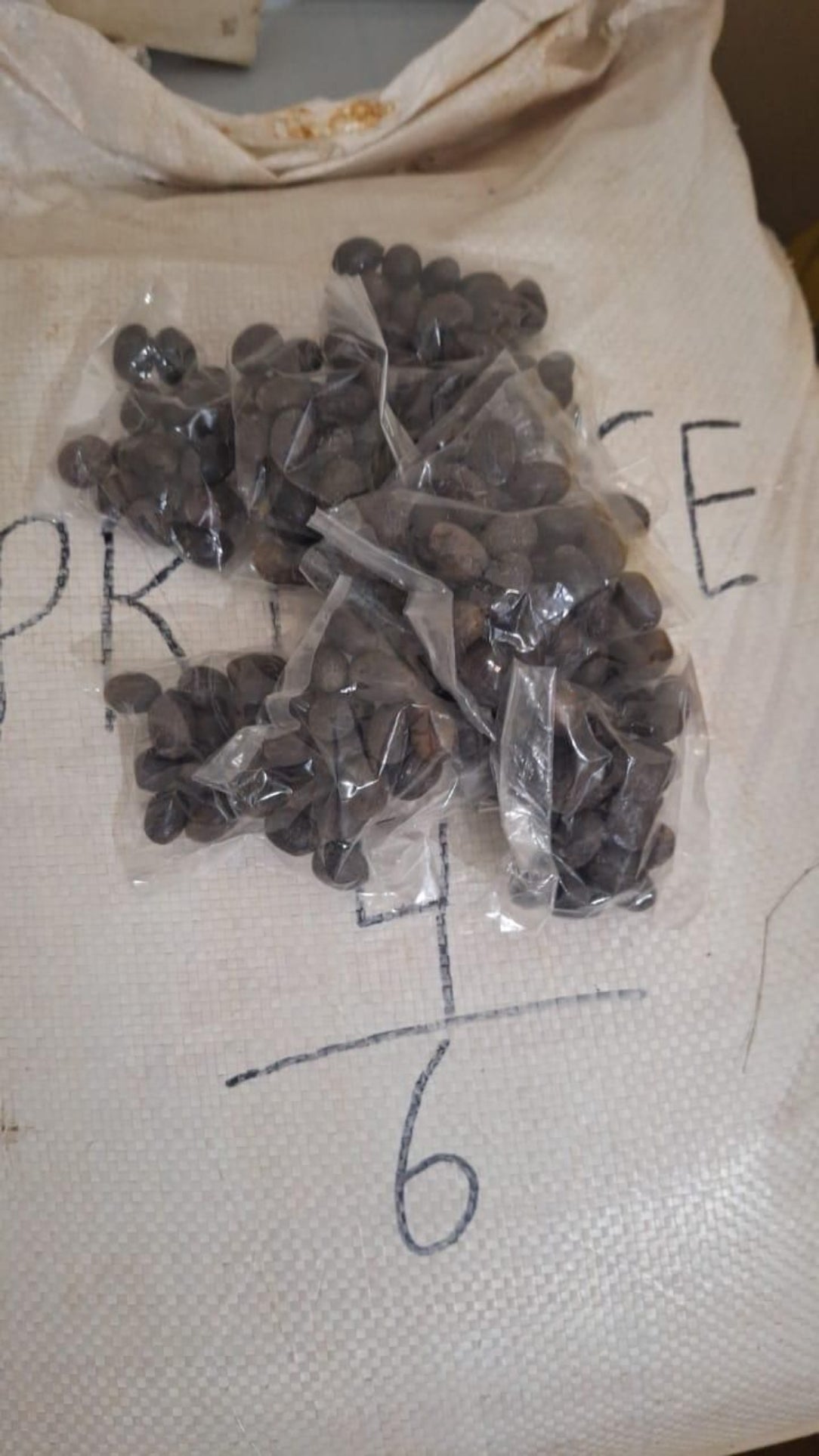 Small bags of dark seeds on a white cloth with text