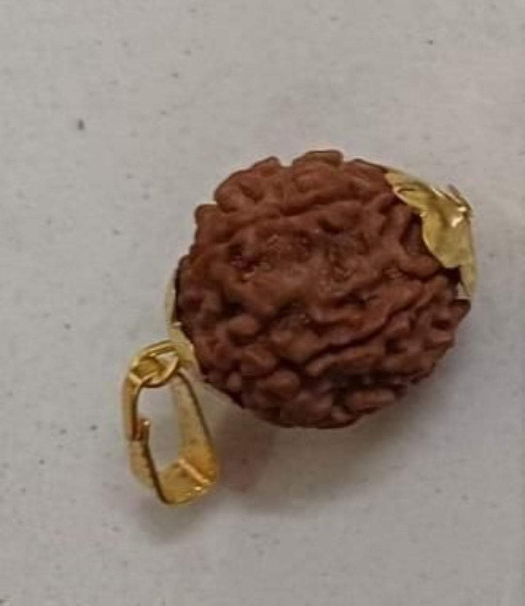 Brown rudraksha bead with gold setting on a light gray background