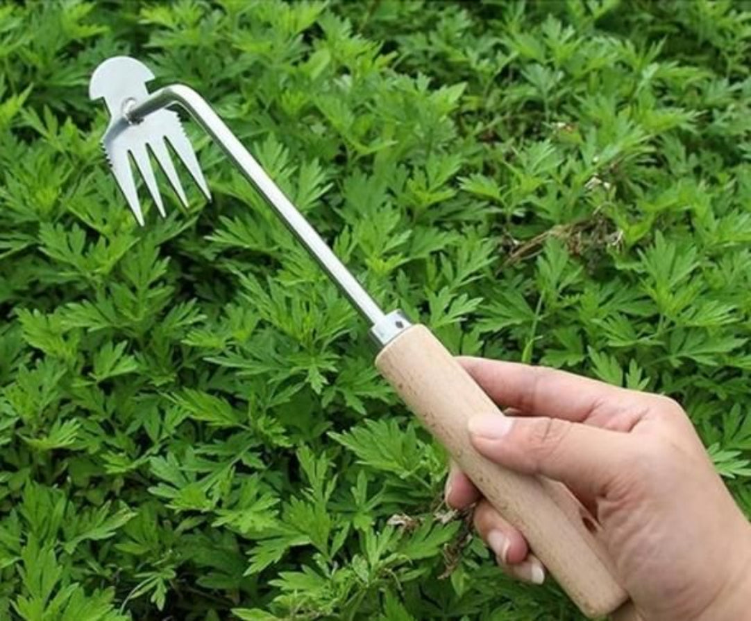 Hand holding a garden tool against a green leafy background