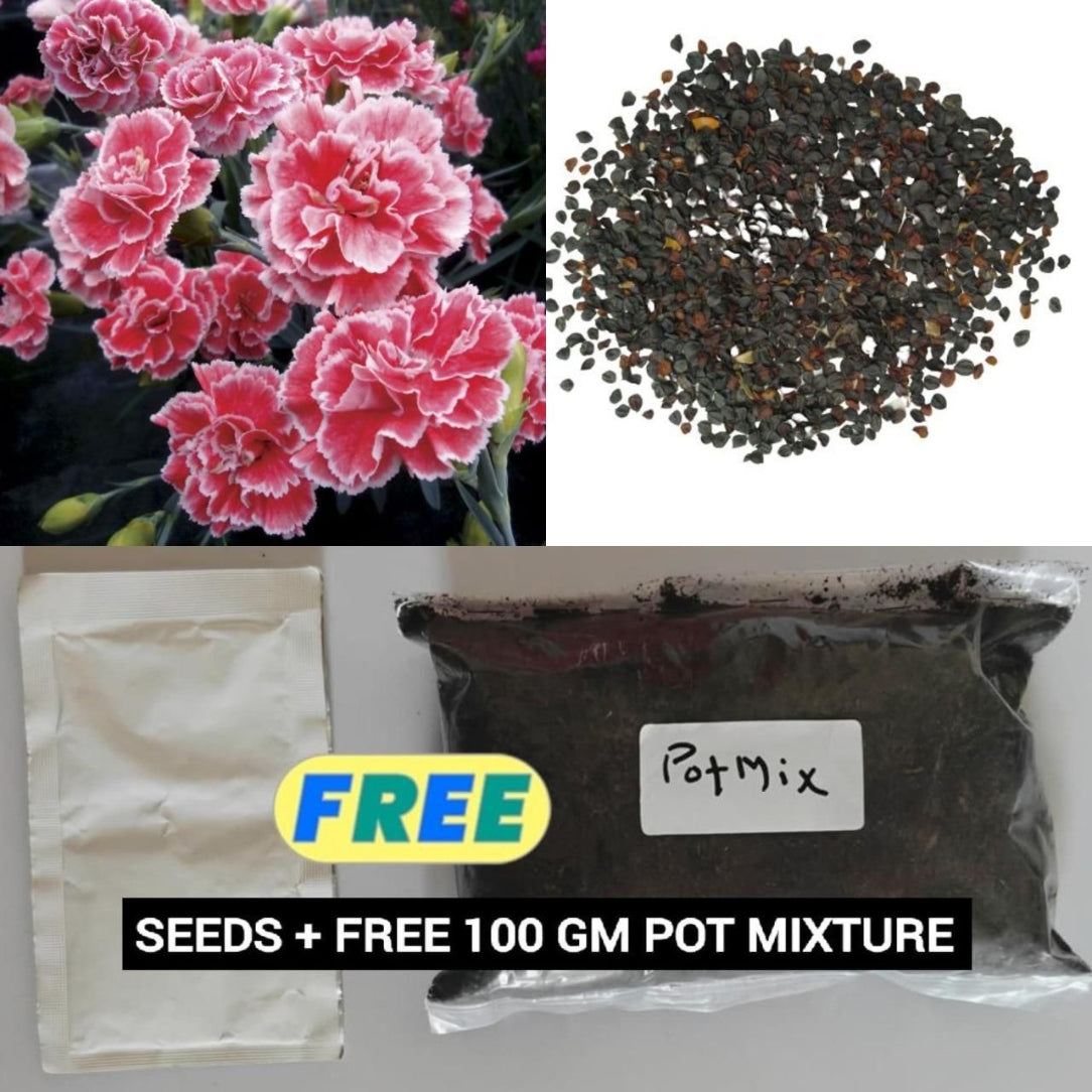 Collage of pink flowers, seeds, and potting mix with promotional text.