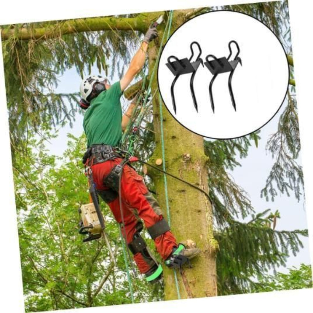 Person climbing a tree with tree-climbing hooks inset