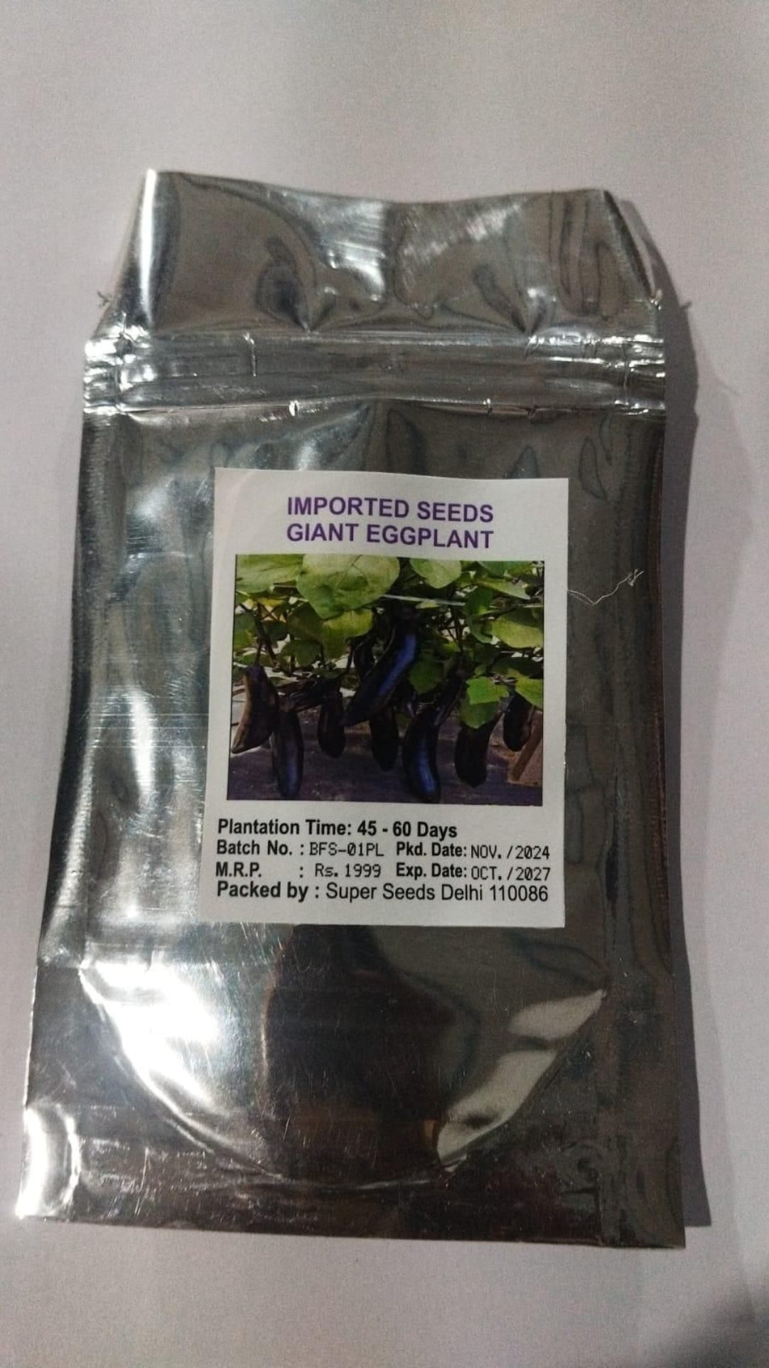 Giant Eggplant Seeds .