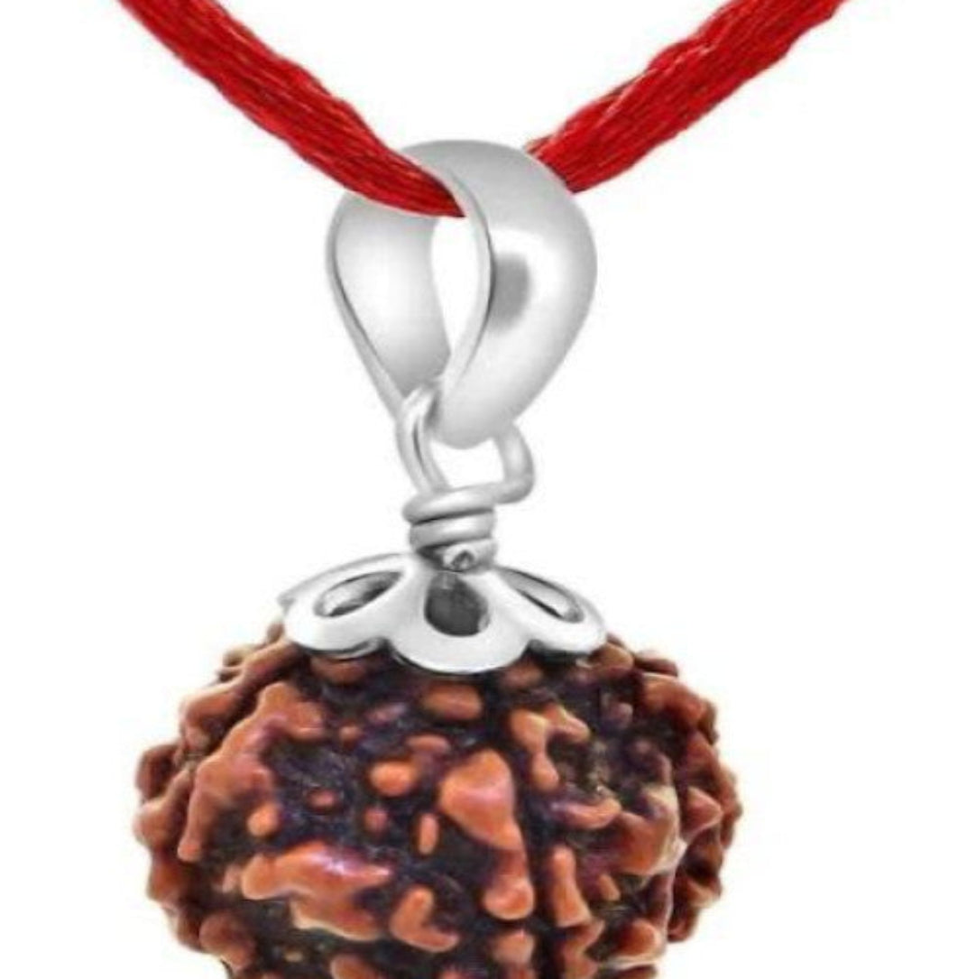 A 5 Mukhi Nepali Rudraksha bead pendant in silver-colored metal suspension, with a red thread.
