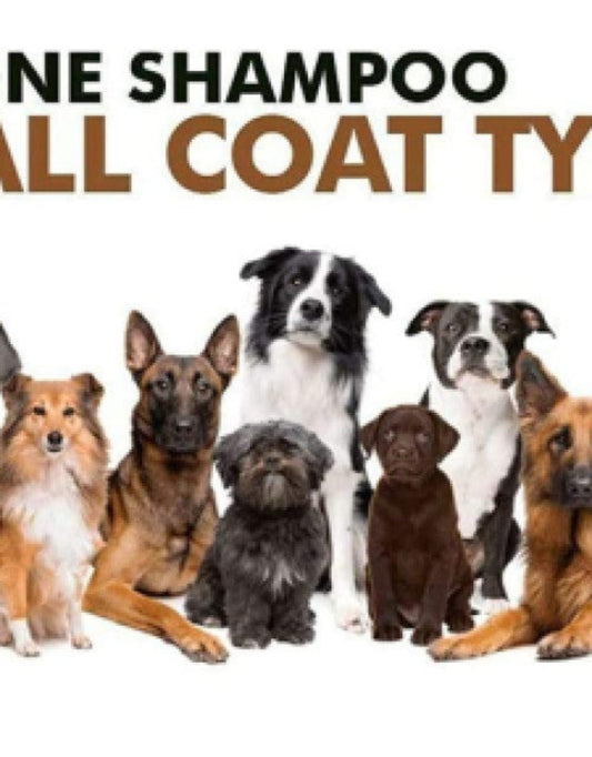 Anti-Itch Dog Shampoo Ditch to Itch ( Buy One Get One Free ) .