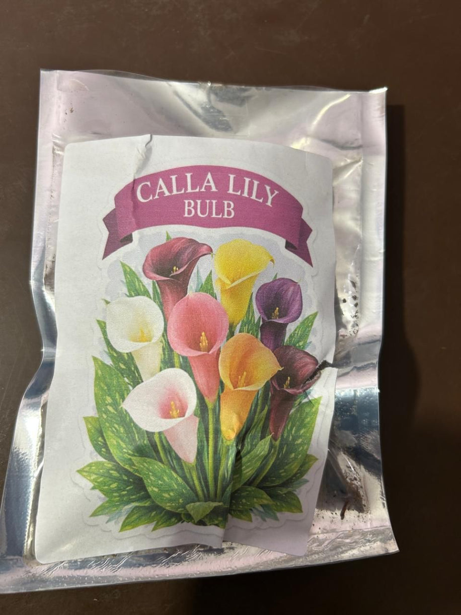 Package of calla lily bulbs with colorful illustrations on a white background.