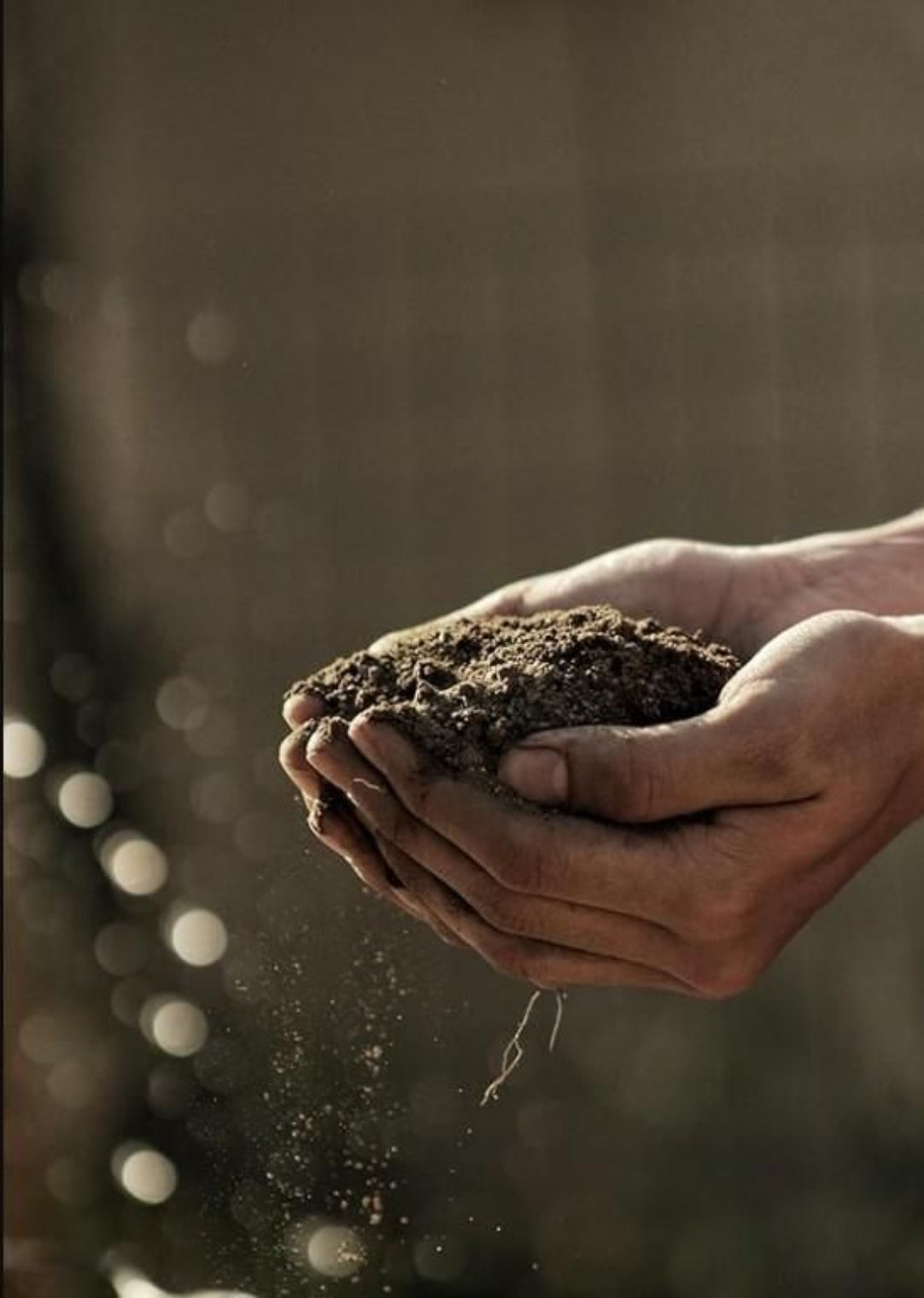 Hand holding soil with a blurred background