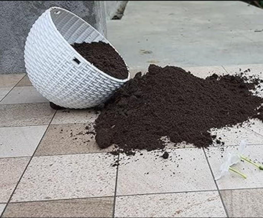 White woven basket with soil spilling onto a tiled floor