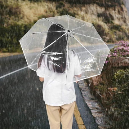 Person holding a transparent umbrella in the rain