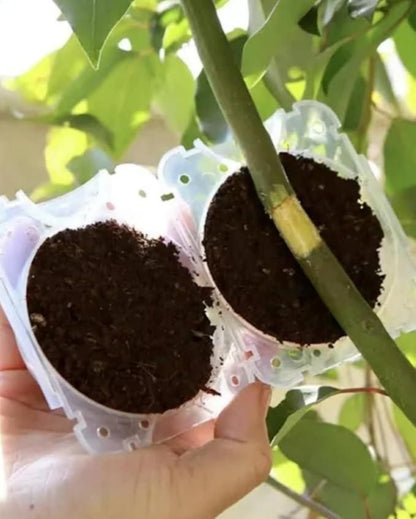 Two small pots with soil and a green stem held by a hand against a blurred green background