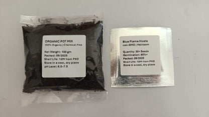 Two packages of black powder with labels on a white background