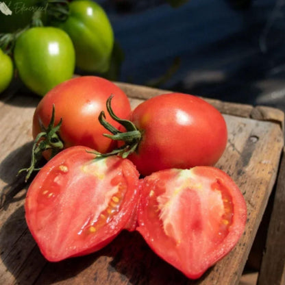 Tomatoes on a wooden surface with one sliced open, showing seeds and flesh.