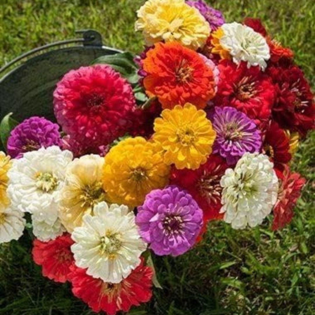 Bucket filled with colorful flowers including red, yellow, purple, and white on a grassy background.