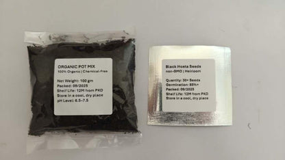 Black potting mix packet and seed packet on a gray background