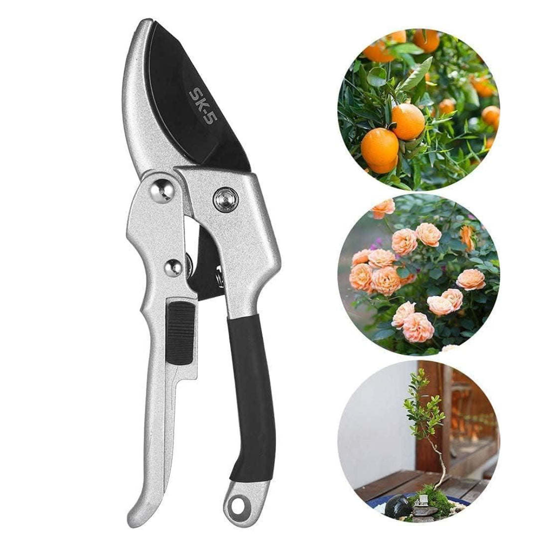 Gardening shears with close-up images of fruits, flowers, and plants on a white background