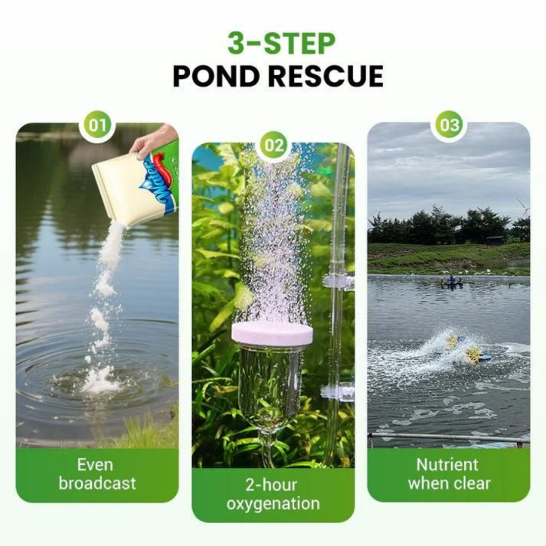 3-step pond rescue process with images and text on a white background