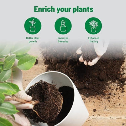 Hand planting a root into soil with text 'Enrich your plants' and icons for better plant growth, improved flowering, and enhanced fruiting.