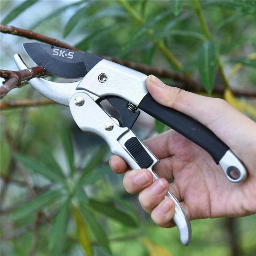 Hand holding a pair of pruning shears with 'SK-5' blade on a blurred green background