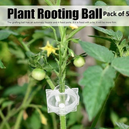 Plant rooting ball with a clear plastic device attached, surrounded by green leaves and stems.