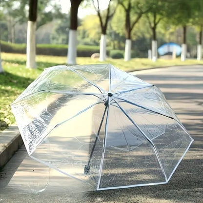 Clear umbrella on a concrete surface with a park background