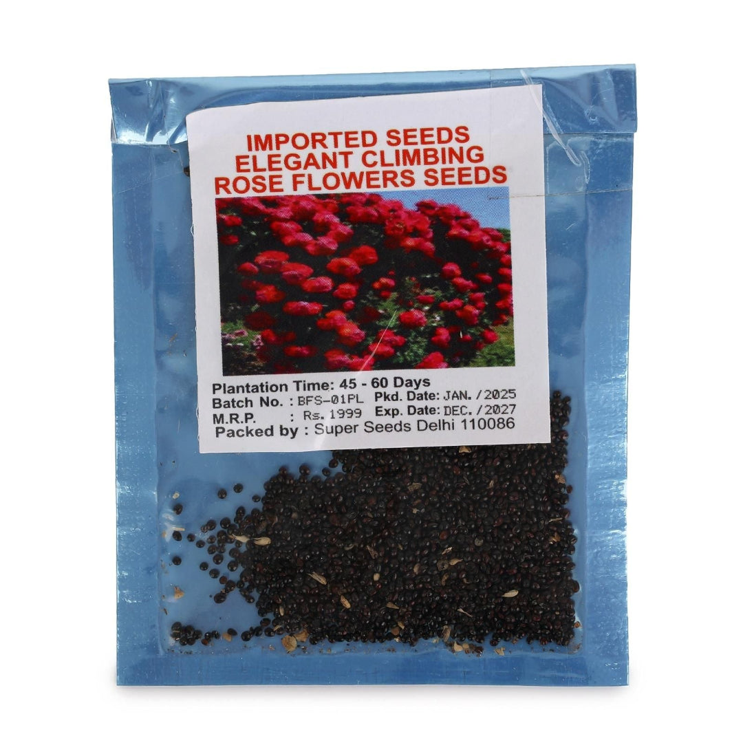 Package of imported rose flower seeds with a blue background