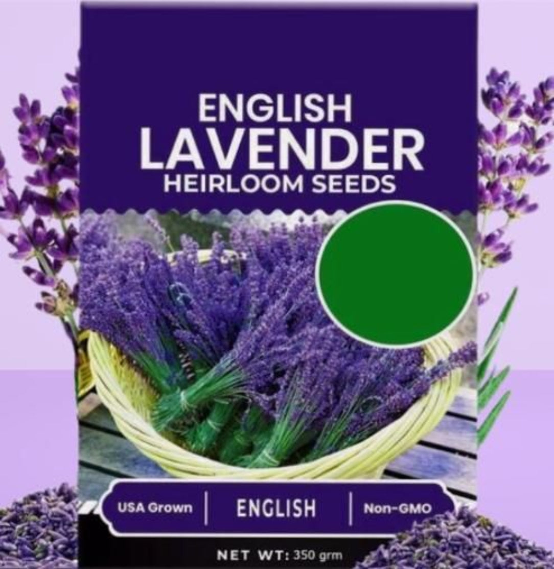 Packaging of English Lavender Heirloom Seeds with lavender flowers on a purple background