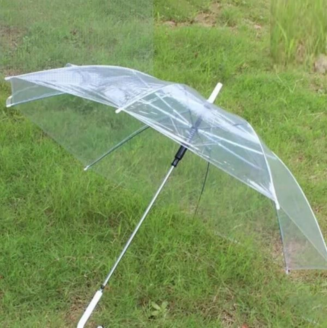 Clear umbrella on a grassy background