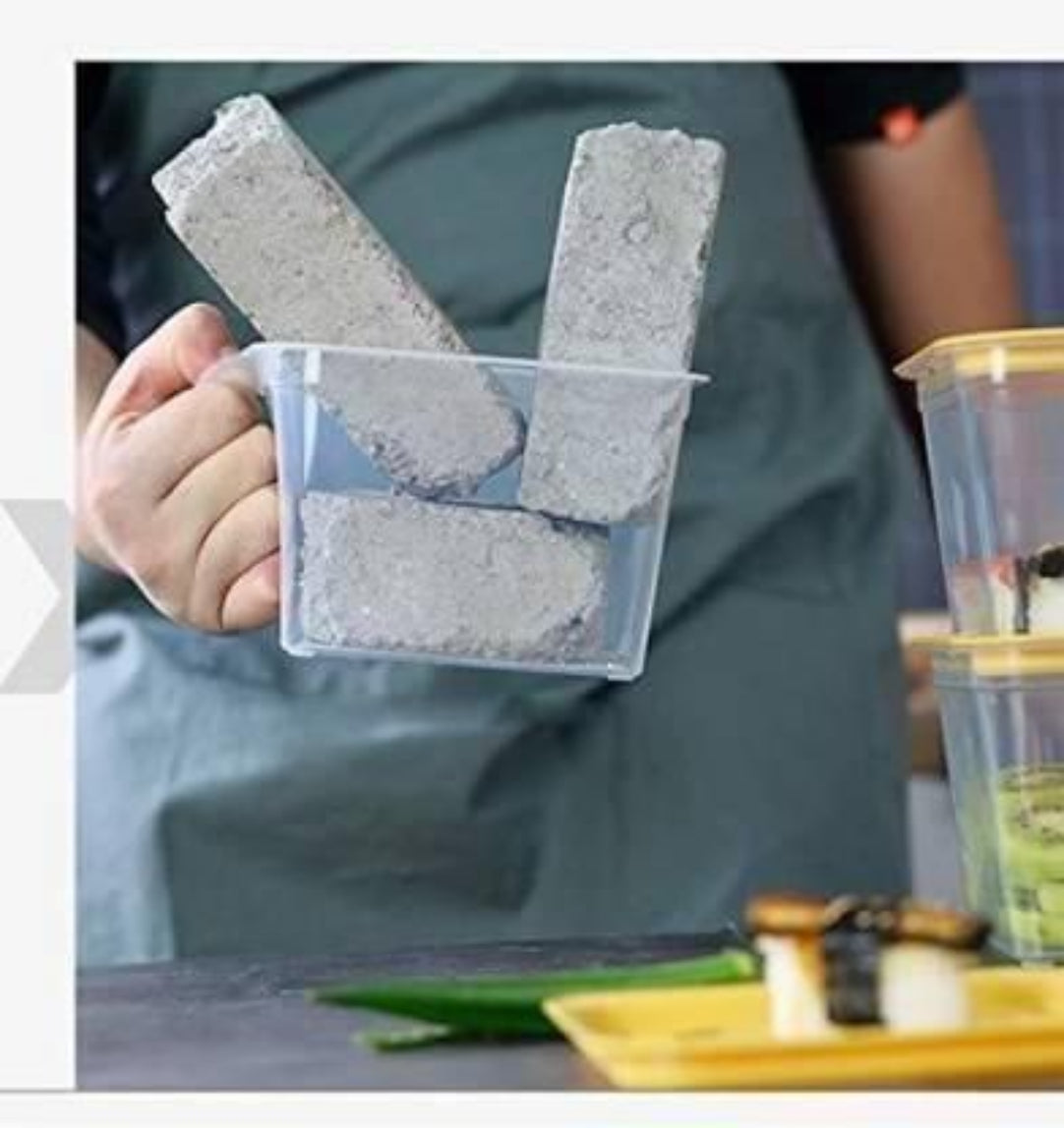 Person holding a container with gray blocks, possibly for a science experiment or demonstration.