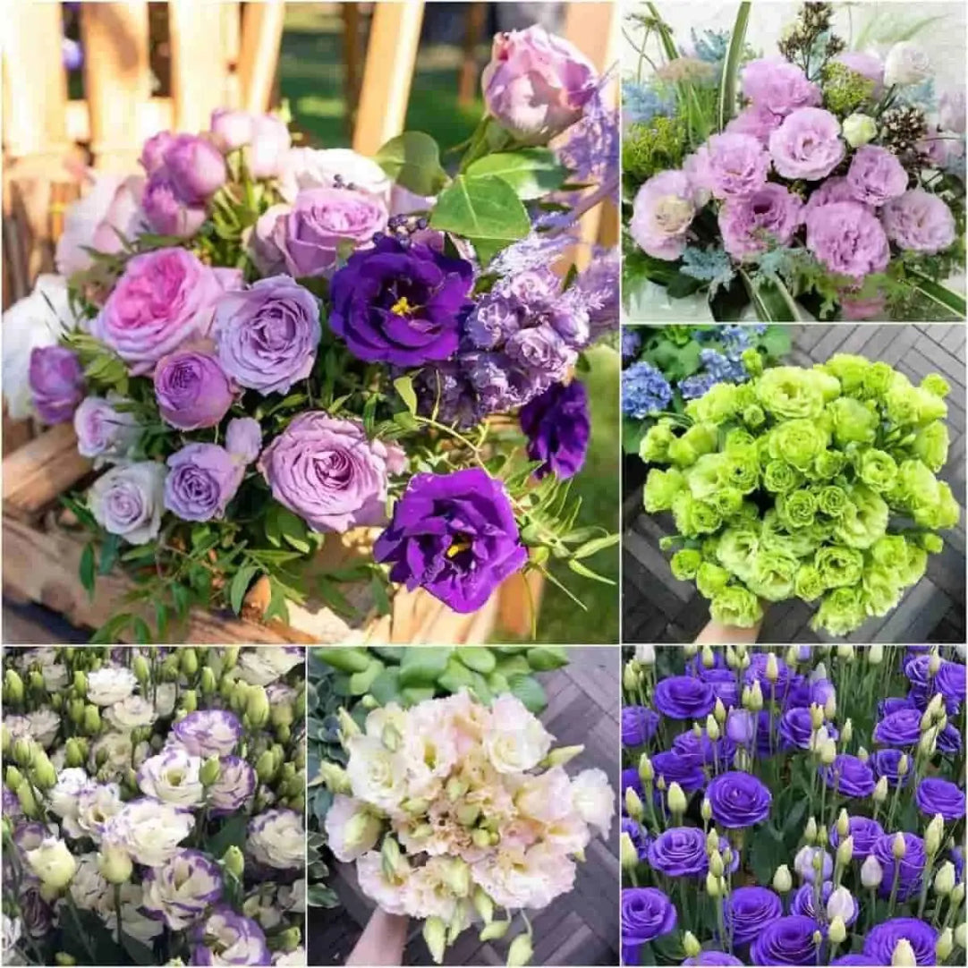 Collage of various bouquets with purple, green, and white flowers.