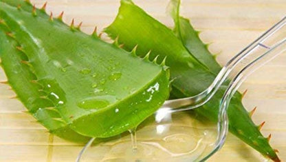 Aloe vera leaves with aloe juice in a glass bowl on a wooden background