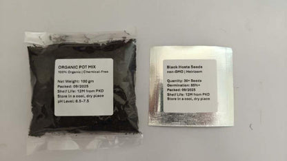 Black potting mix packet and seed packet on a gray background