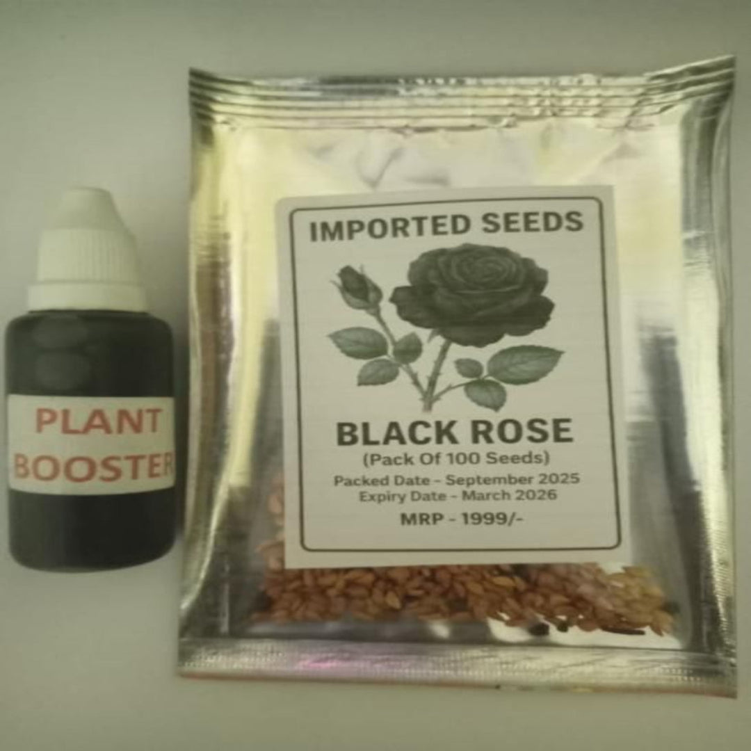 Imported seeds package of Black Rose with a plant booster bottle on a light background