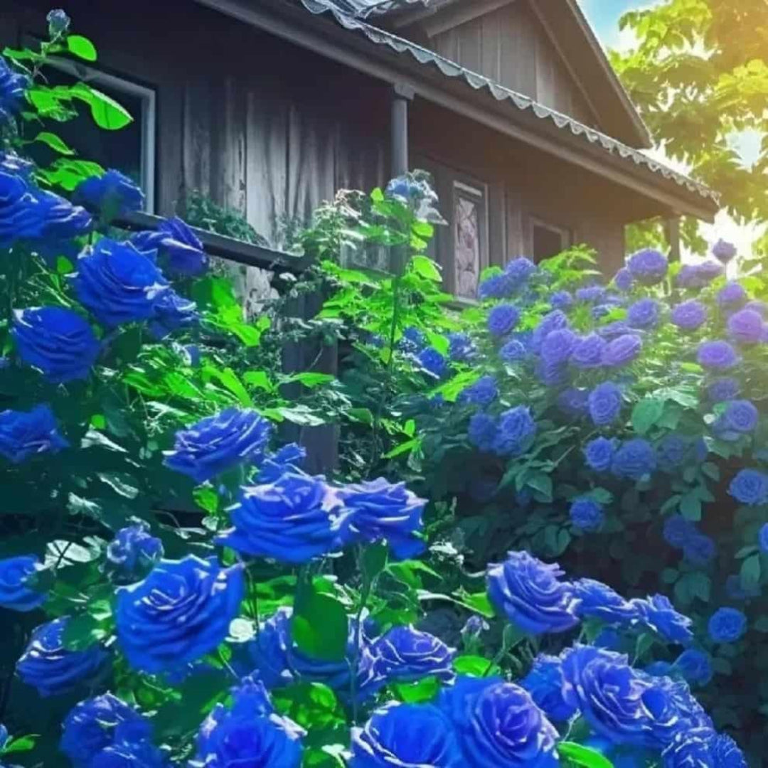 Blue flowers in a garden with a house in the background