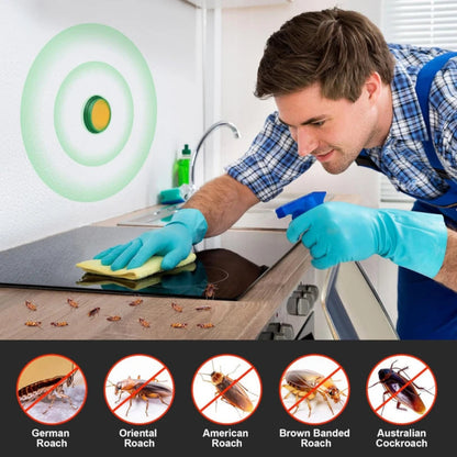 Man cleaning a kitchen counter with gloves on, using a spray bottle and cloth. Roach and cockroach illustrations are shown below.
