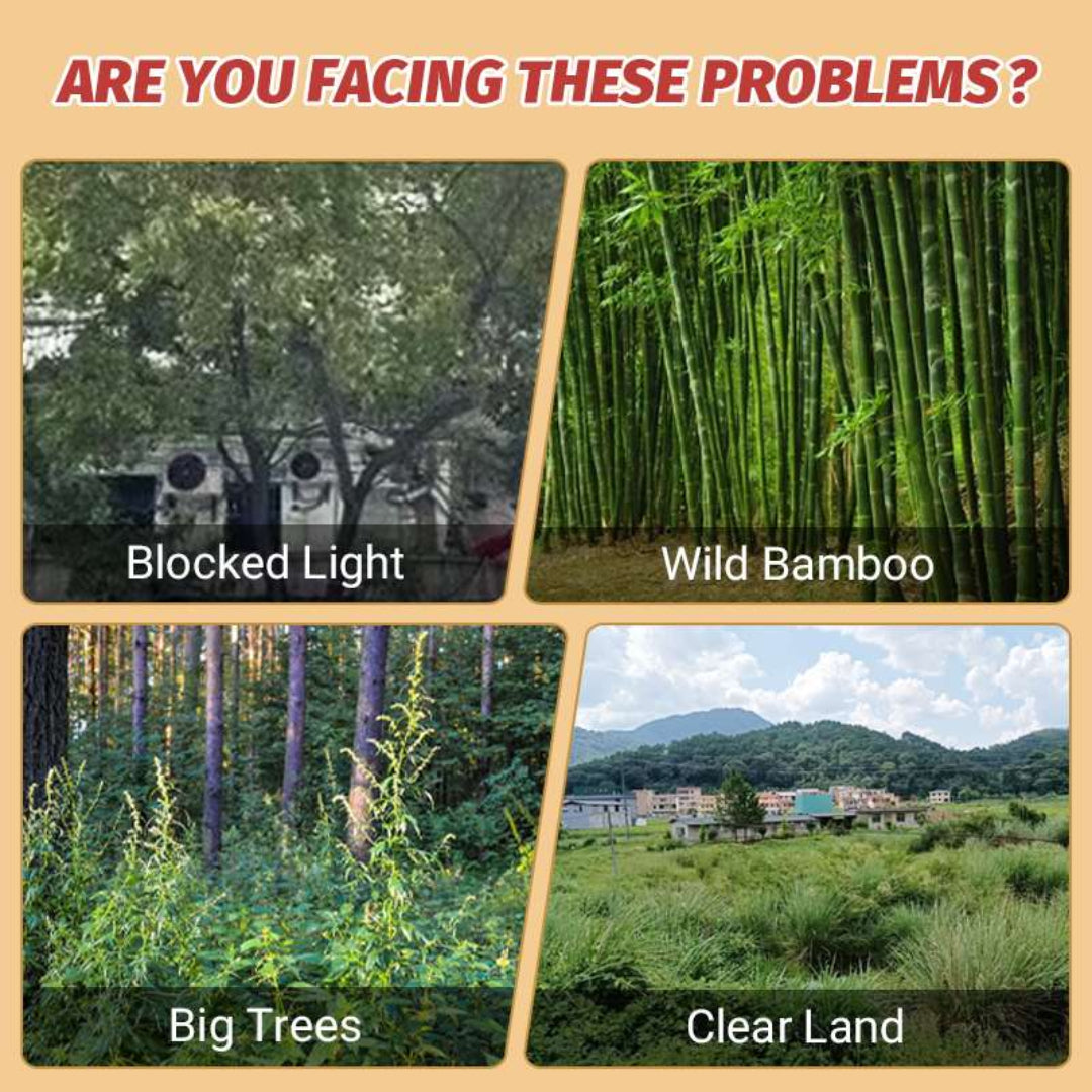 Collage of images showing blocked light, wild bamboo, big trees, and clear land with text asking if these are problems.
