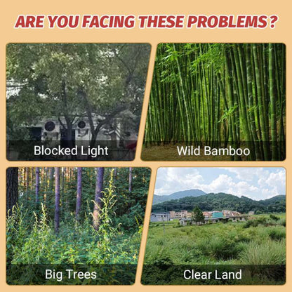 Collage of images showing blocked light, wild bamboo, big trees, and clear land with text asking if these are problems.