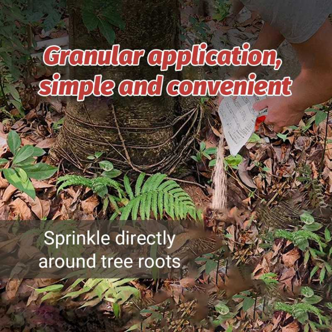Person applying granular fertilizer around a tree with text on application method.