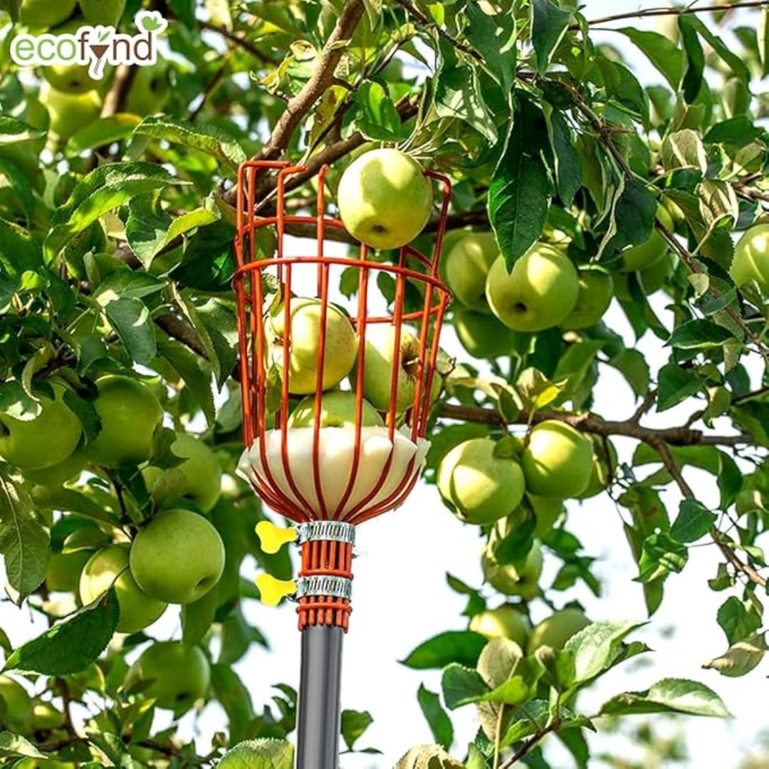 Apple picker tool being used to harvest apples from a tree