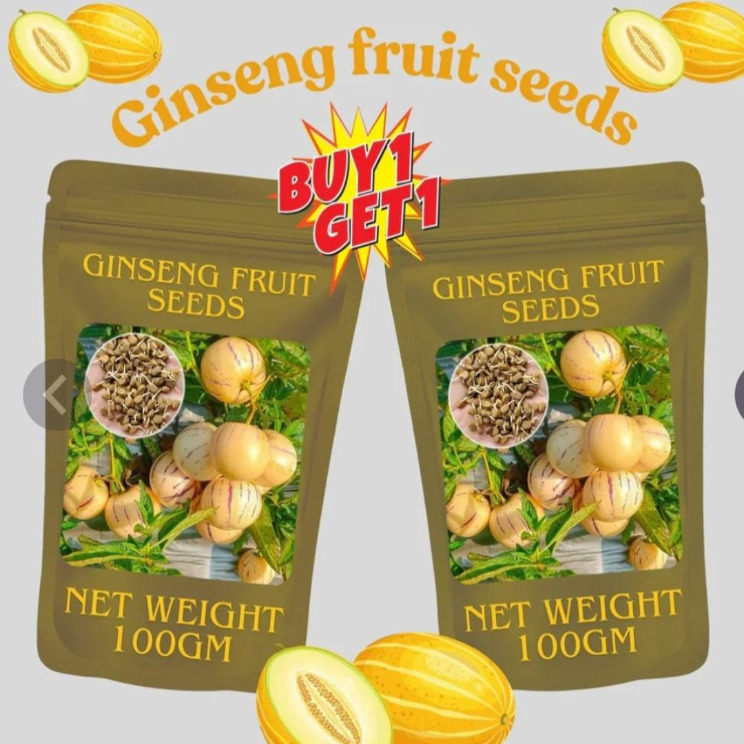 Two packages of ginseng fruit seeds with promotional text on a light gray background.