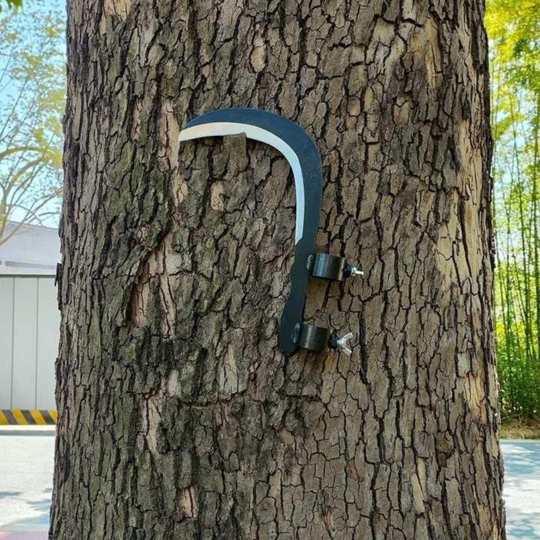 Tree climbing device attached to a tree trunk