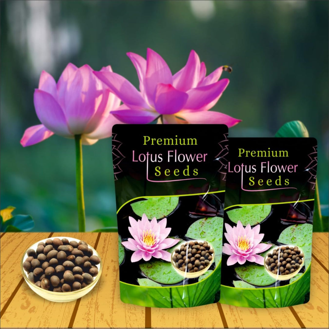 Two packages of Premium Lotus Flower Seeds with a bowl of seeds and blooming lotus flowers on a wooden surface.