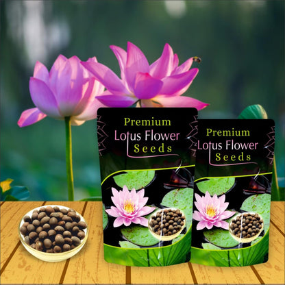 Two packages of Premium Lotus Flower Seeds with a bowl of seeds and blooming lotus flowers on a wooden surface.