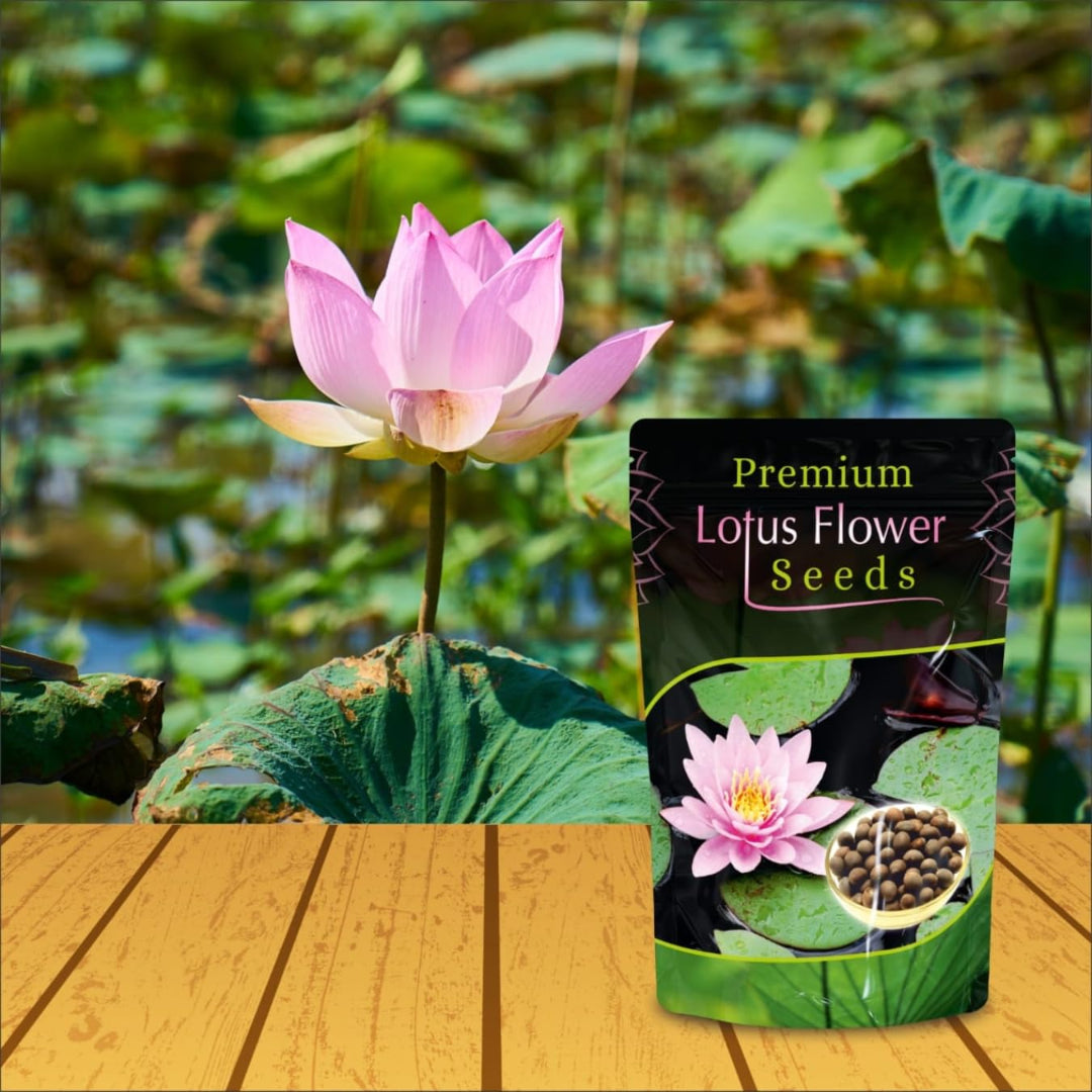 Pink lotus flower with a package of Premium Lotus Flower Seeds on a wooden surface.