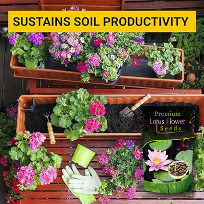 Gardening setup with plants, tools, and a package of Lotus Flower Seeds on a wooden shelf.