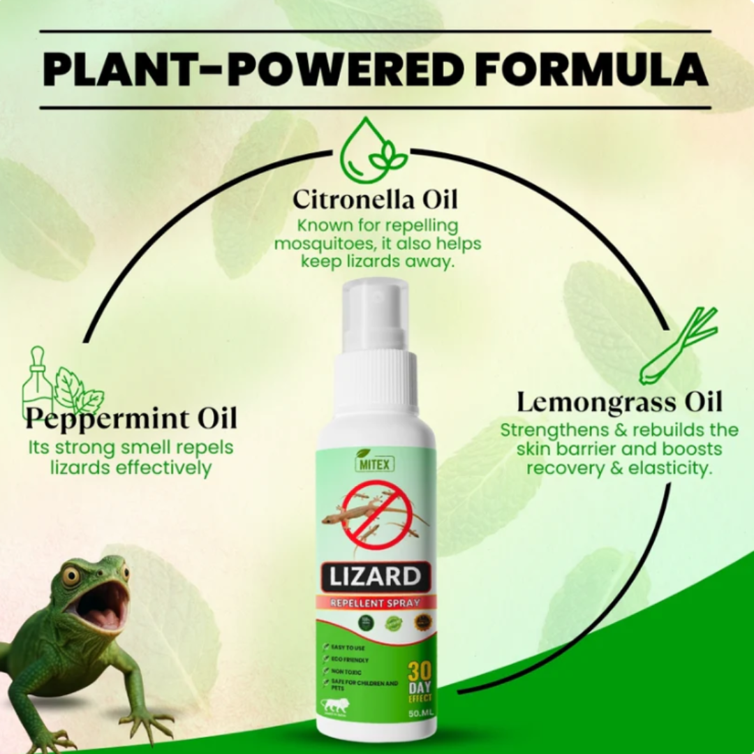 Lizard Repellent Spray(Pack of 3)