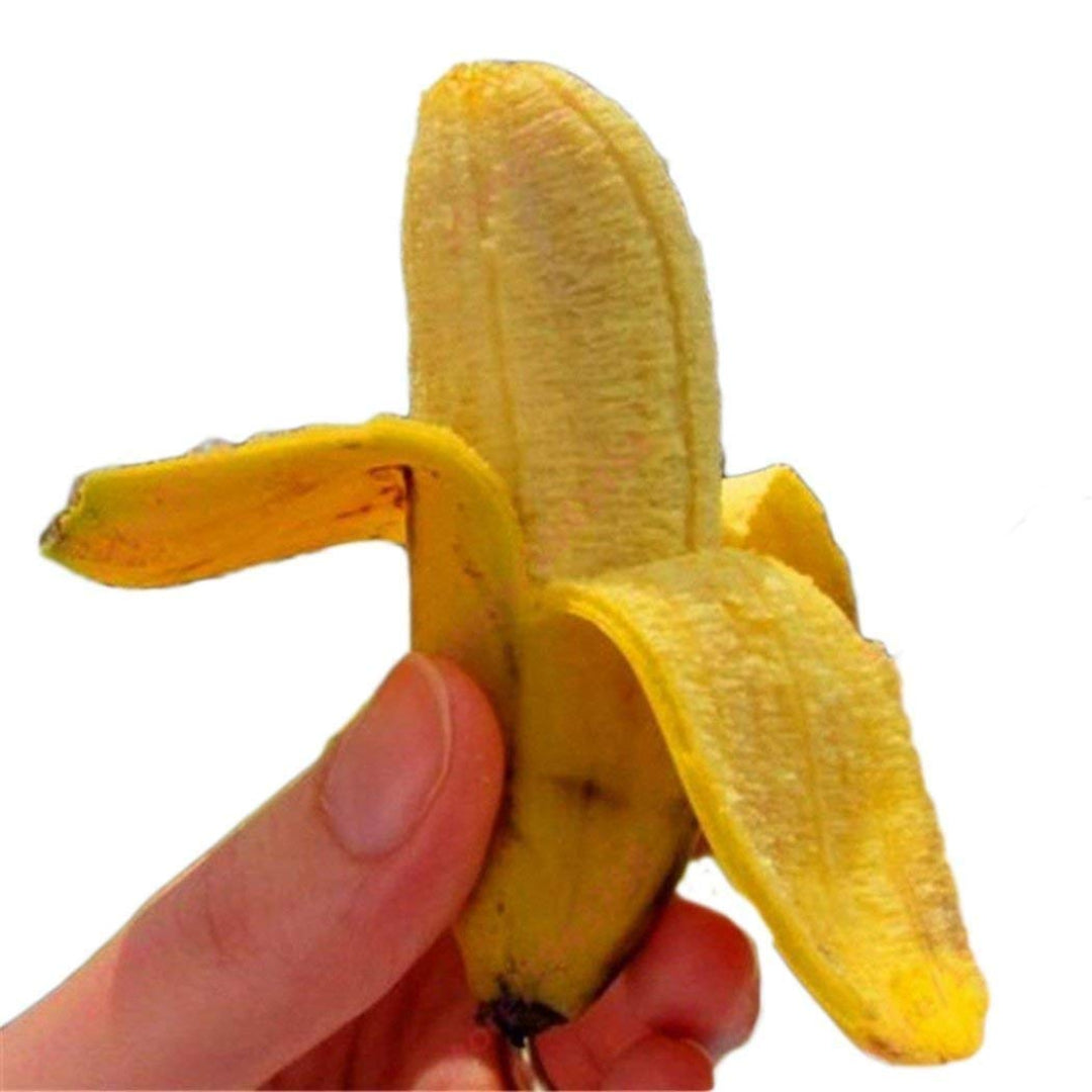 Hand holding a partially peeled banana against a white background