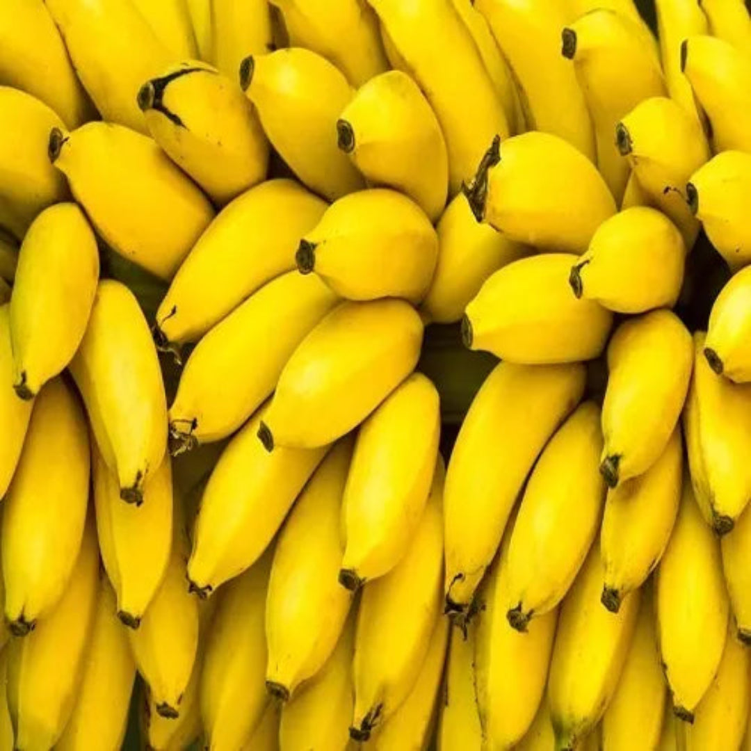Close-up of a large bunch of yellow bananas