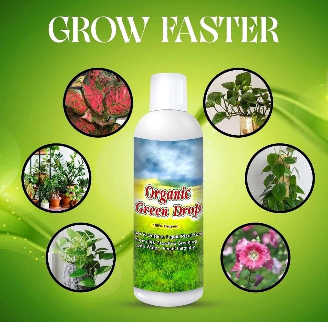 Bottle of Organic Green Drops with images of plants and flowers on a green background